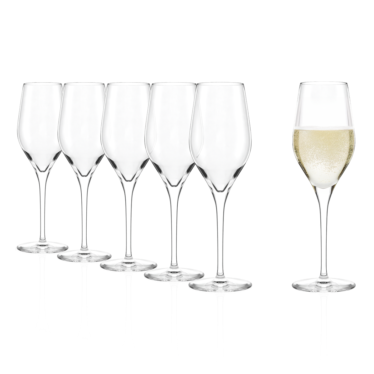 Stölzle Lausitz Exquisit Champagnerkelch 6er-Set – gefüllt