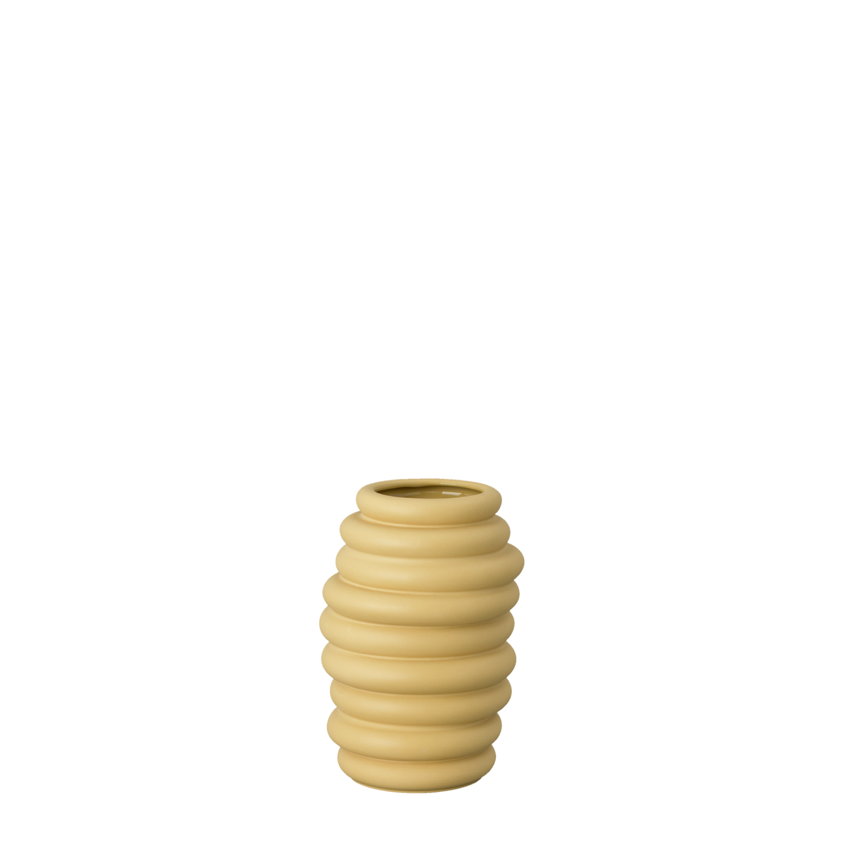 Rosenthal hop 14 fossil