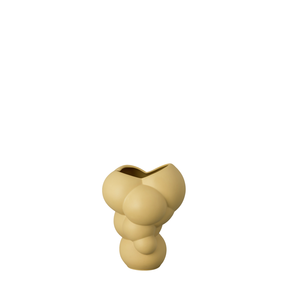 Rosenthal skum 14 fossil