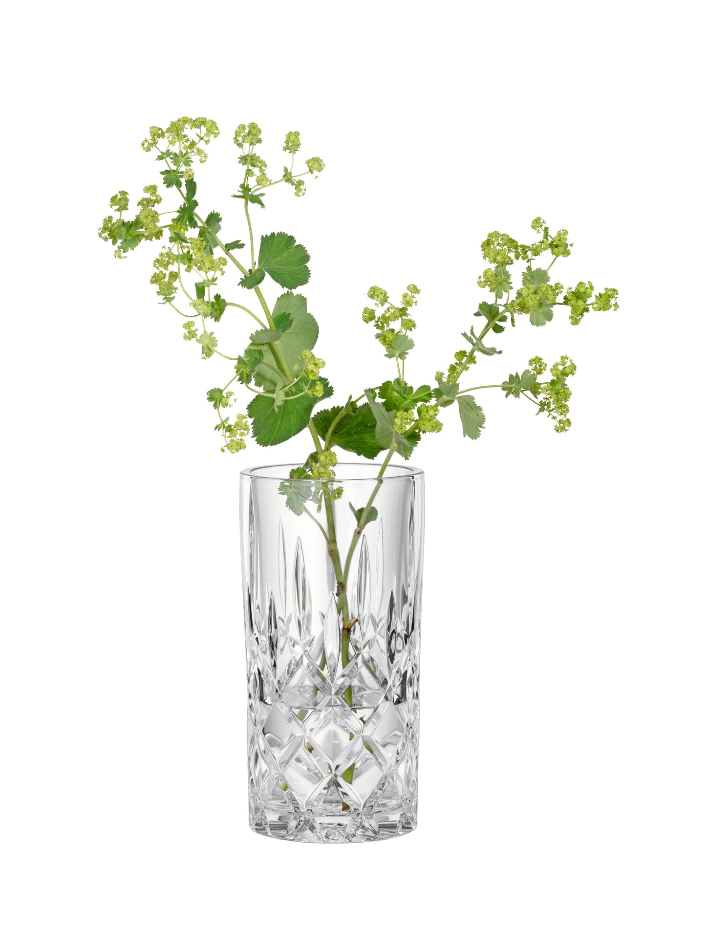 Nachtmann Noblesse Vase 23 cm 106017
