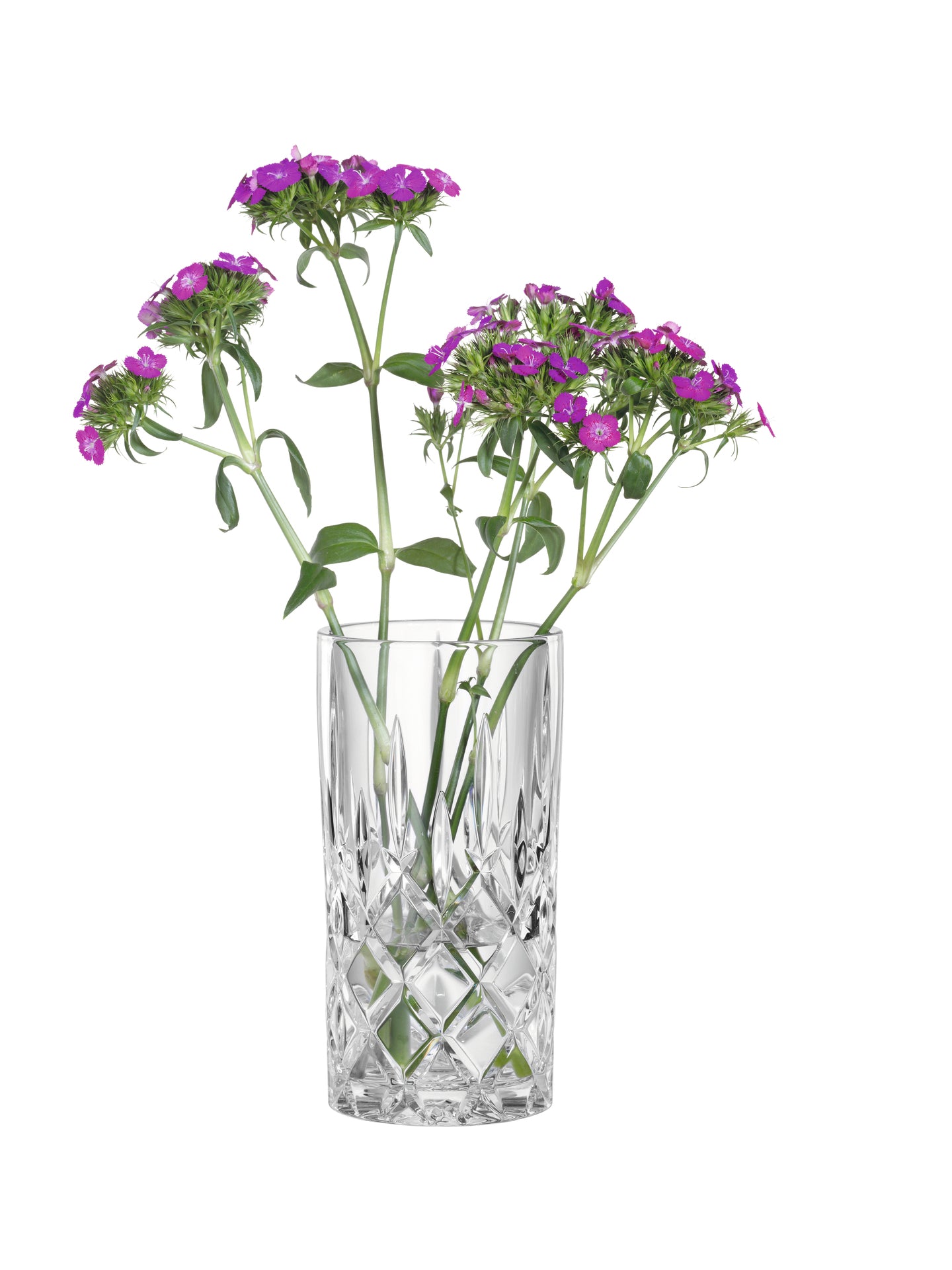 Nachtmann Noblesse Vase 23 cm 106017
