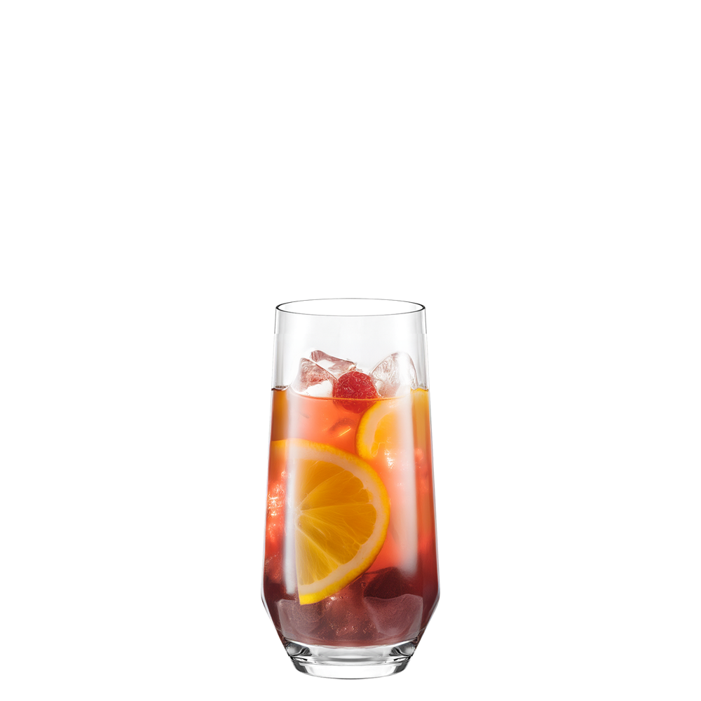 Stölzle Lausitz Quatrophil Longdrinkglas 6er-Set